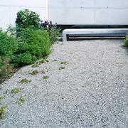 ArchitektInnen / KünstlerInnen: 3:0 Landschaftsarchitektur Gachowetz Luger Zimermann OG<br>Projekt: Garten Ö.<br>Aufnahmedatum: 05/07<br>Format: 6x9cm C-Dia<br>Lieferformat: Dia-Duplikat, Scan 300 dpi<br>Bestell-Nummer: 070516-03<br>