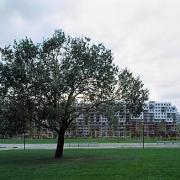 ArchitektInnen / KünstlerInnen: Hager Partner AG<br>Projekt: Rudolf Bednar Park<br>Aufnahmedatum: 08/08<br>Format: 6x9cm C-Dia<br>Lieferformat: Dia-Duplikat, Scan 300 dpi<br>Bestell-Nummer: 080808-16<br>