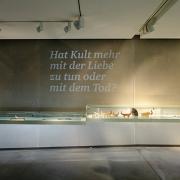 ArchitektInnen / KünstlerInnen: BWM Architekten<br>Projekt: Archäologiemuseum Eggenberg<br>Aufnahmedatum: 01/10<br>Format: digital<br>Lieferformat: Scan 300 dpi<br>Bestell-Nummer: 100121-17<br>