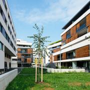 ArchitektInnen / KünstlerInnen: königlarch architekten<br>Projekt: WHA Satzingerweg<br>Format: digital<br>Lieferformat: Digital<br>Bestell-Nummer: 110812-16<br>