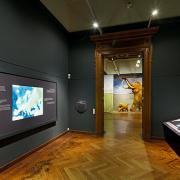 ArchitektInnen / KünstlerInnen: Martin Kohlbauer<br>Projekt: Mammuts Ausstellung NHM<br>Format: digital<br>Lieferformat: Digital<br>Bestell-Nummer: 141125-05<br>