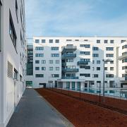 ArchitektInnen / KünstlerInnen: Walter Stelzhammer<br>Projekt: WHA Seestadt<br>Format: digital<br>Lieferformat: Digital<br>Bestell-Nummer: 150310-10<br>