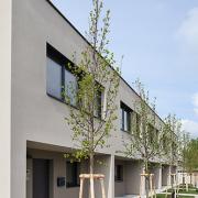 ArchitektInnen / KünstlerInnen: Patricia Zacek<br>Projekt: WHA Otterweg<br>Format: digital<br>Lieferformat: Digital<br>Bestell-Nummer: 160425-12<br>