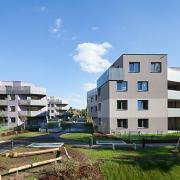ArchitektInnen / KünstlerInnen: Patricia Zacek<br>Projekt: WHA Otterweg<br>Format: digital<br>Lieferformat: Digital<br>Bestell-Nummer: 160922-09<br>