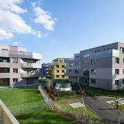 ArchitektInnen / KünstlerInnen: Patricia Zacek<br>Projekt: WHA Otterweg<br>Format: digital<br>Lieferformat: Digital<br>Bestell-Nummer: 160922-12<br>