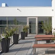 ArchitektInnen / KünstlerInnen: Sne Veselinovic<br>Projekt: VS und Wohnheim Wagramerstraße<br>Format: digital<br>Lieferformat: Digital<br>Bestell-Nummer: 180720-40<br>