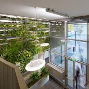 ArchitektInnen / KünstlerInnen: Treberspurg & Partner Architekten ZT GmbH<br>Projekt: WHA wabe23<br>Format: digital<br>Lieferformat: Digital<br>Bestell-Nummer: 191001-13<br>