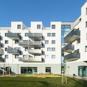 ArchitektInnen / KünstlerInnen: Walter Stelzhammer<br>Projekt: WHA Wildgarten<br>Format: digital<br>Lieferformat: Digital<br>Bestell-Nummer: 191210-22<br>