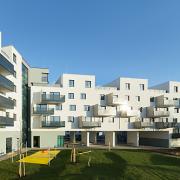 ArchitektInnen / KünstlerInnen: Walter Stelzhammer<br>Projekt: WHA Wildgarten<br>Format: digital<br>Lieferformat: Digital<br>Bestell-Nummer: 191210-24<br>