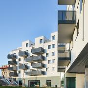 ArchitektInnen / KünstlerInnen: Walter Stelzhammer<br>Projekt: WHA Wildgarten<br>Format: digital<br>Lieferformat: Digital<br>Bestell-Nummer: 191210-29<br>