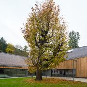 ArchitektInnen / K&uuml;nstlerInnen: archipel architektur kommunikation<br>Projekt: Konzertsaal Hermannswörth<br>Format: digital<br>Lieferformat: Digital<br>Bestell-Nummer: 251016-12<br>