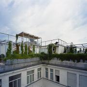 ArchitektInnen / KünstlerInnen: 3:0 Landschaftsarchitektur Gachowetz Luger Zimermann OG<br>Projekt: Dachgarten T.<br>Aufnahmedatum: 07/03<br>Format: 6x9cm C-Dia<br>Lieferformat: Dia-Duplikat, Scan 300 dpi<br>Bestell-Nummer: 030723-06<br>