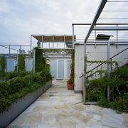 ArchitektInnen / KünstlerInnen: 3:0 Landschaftsarchitektur Gachowetz Luger Zimermann OG<br>Projekt: Dachgarten T.<br>Aufnahmedatum: 07/03<br>Format: 6x9cm C-Dia<br>Lieferformat: Dia-Duplikat, Scan 300 dpi<br>Bestell-Nummer: 030723-07<br>