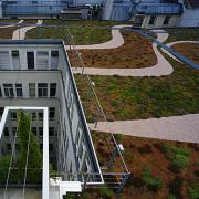 ArchitektInnen / KünstlerInnen: 3:0 Landschaftsarchitektur Gachowetz Luger Zimermann OG<br>Projekt: Dachgarten T.<br>Aufnahmedatum: 07/03<br>Format: 6x9cm C-Dia<br>Lieferformat: Dia-Duplikat, Scan 300 dpi<br>Bestell-Nummer: 030723-02<br>