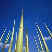 ArchitektInnen / KünstlerInnen: Johannes Kraus<br>Projekt: IGA Rostock 2003<br>Aufnahmedatum: 03/03<br>Format: 6x7cm C-Dia<br>Lieferformat: Dia-Duplikat<br>Bestell-Nummer: 030425-26<br>