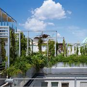 ArchitektInnen / KünstlerInnen: 3:0 Landschaftsarchitektur Gachowetz Luger Zimermann OG<br>Projekt: Dachgarten T.<br>Aufnahmedatum: 06/04<br>Format: 6x9cm C-Dia<br>Lieferformat: Scan 300 dpi<br>Bestell-Nummer: 040630-03<br>