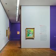 ArchitektInnen / KünstlerInnen: Martin Kohlbauer<br>Projekt: Matisse und die Fauves  Albertina<br>Format: digital<br>Lieferformat: Digital<br>Bestell-Nummer: 131202-14<br>