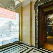 ArchitektInnen / KünstlerInnen: Martin Kohlbauer<br>Projekt: Mammuts Ausstellung NHM<br>Format: digital<br>Lieferformat: Digital<br>Bestell-Nummer: 141125-01<br>