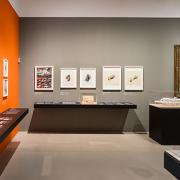 ArchitektInnen / KünstlerInnen: Georg Schrom<br>Projekt: Ausstellung Atelier Bauhaus Wien<br>Format: digital<br>Lieferformat: Digital<br>Bestell-Nummer: 230314-24<br>